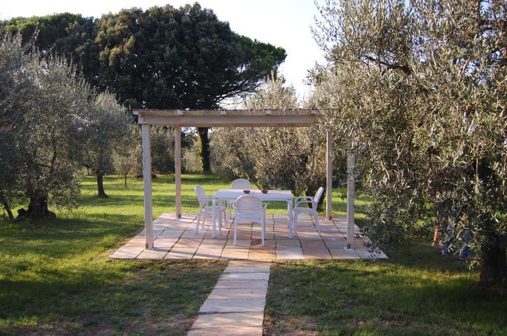 Agriturismo Le Querce Palaia Εξωτερικό φωτογραφία